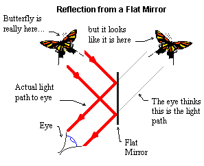 [Plane mirror reflection]