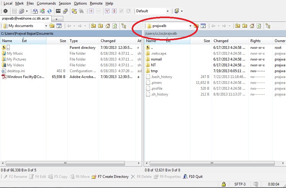 winscp synchronize directories automatically