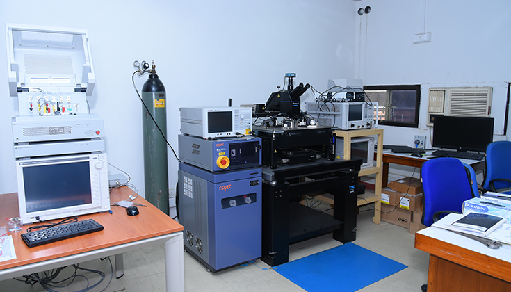 Circuit Simulation Model