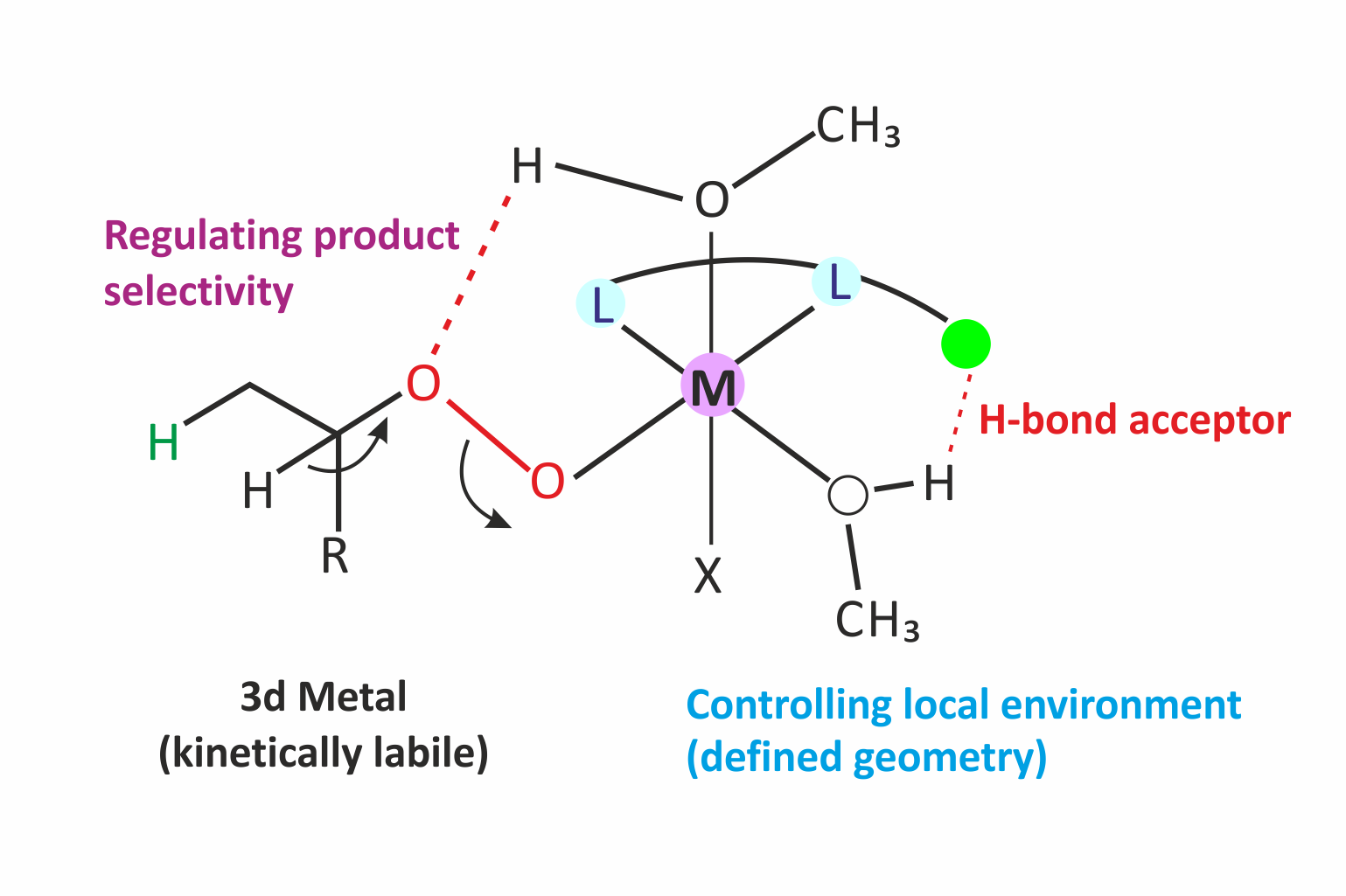 Secondary-Sphere Interactions for Controlling Catalytic Efficacy and Selectivity 