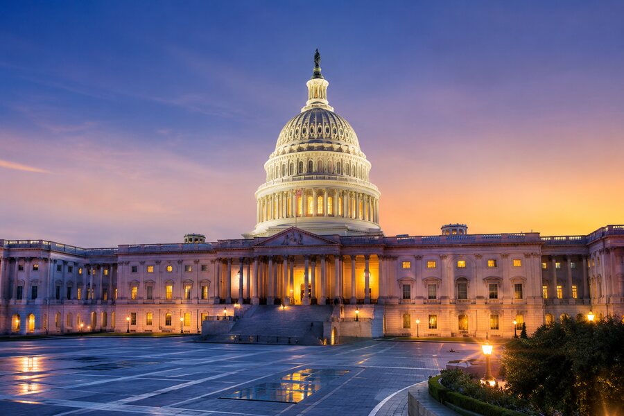 U.S. Capitol, Washington D.C.