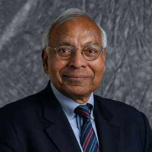 Prof. Anil K. Jain