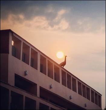 A bird on a roof

AI-generated content may be incorrect.