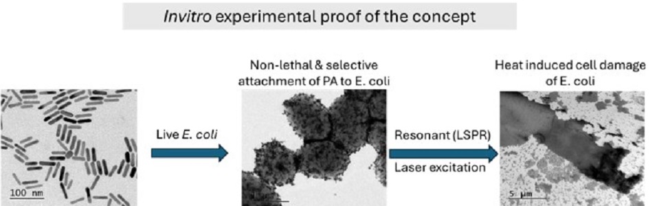 Tropical & Infectious Diseases