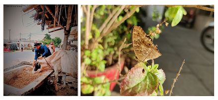 Revive Mother Earth Competetion