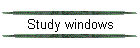 Study windows