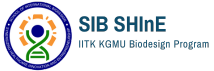 SIB Shine Logo