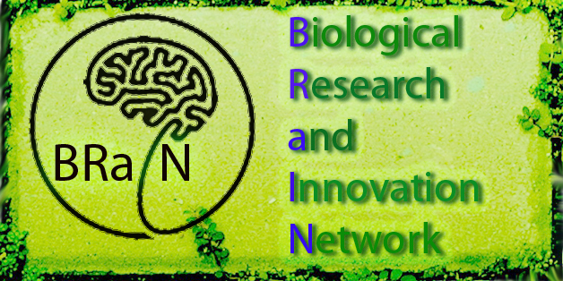  BRaIN (Biological Research and Innovation Network )